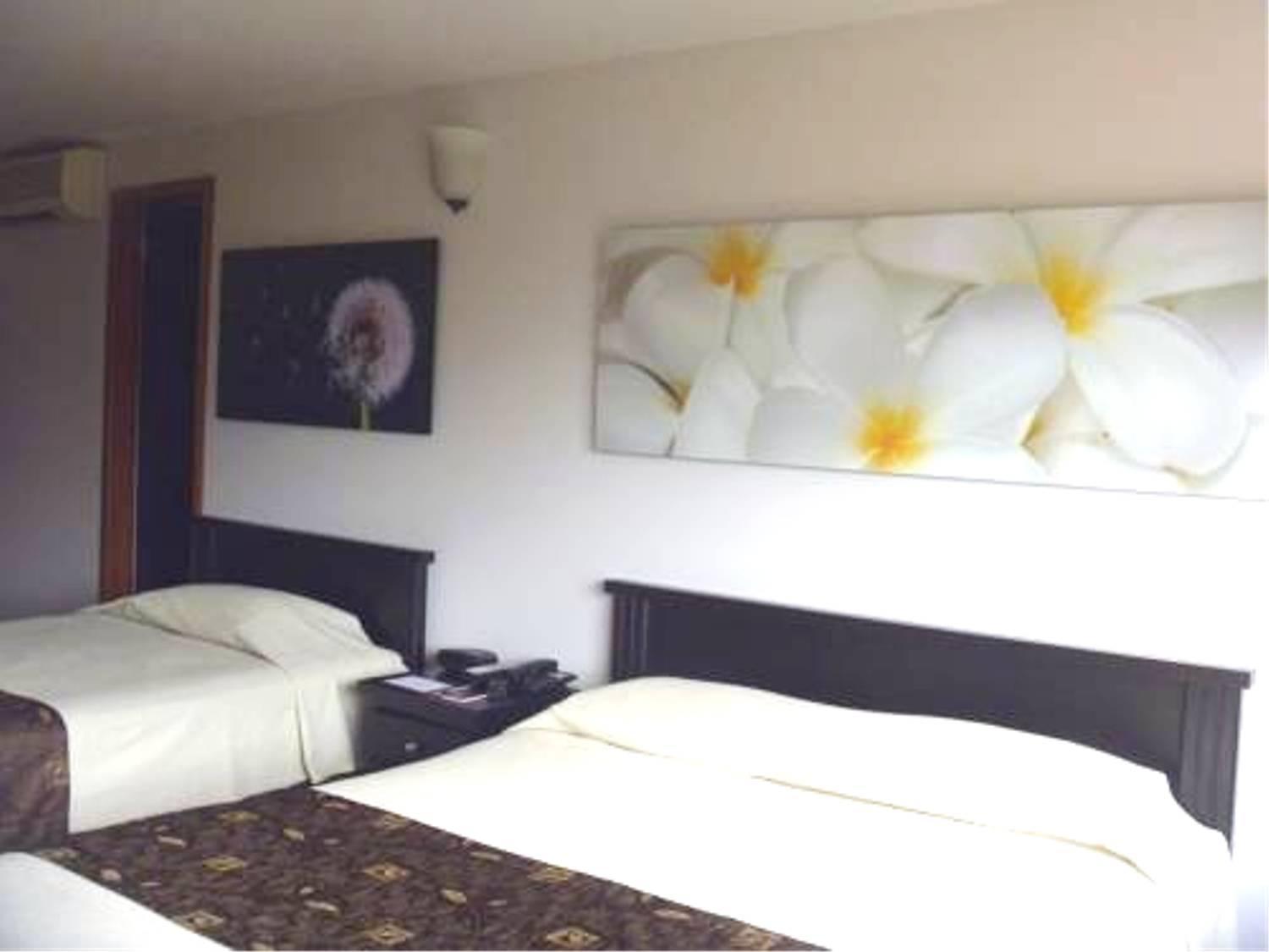 Hotel Plaza Rosa Medellín Exterior foto